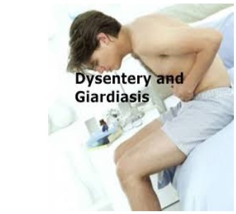 Bacteria